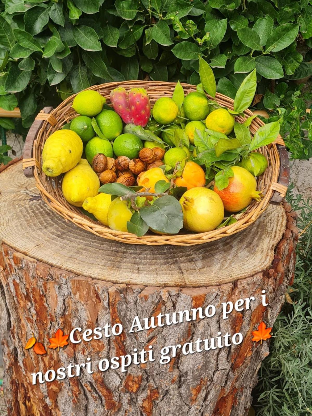 B&B Casa Vacanza Cioffi Vico Equense Eksteriør billede