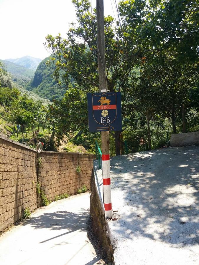 B&B Casa Vacanza Cioffi Vico Equense Eksteriør billede